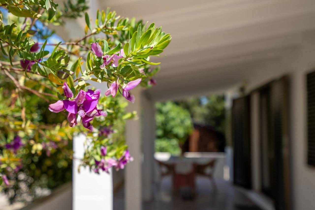Bettina & Birgitta - Formentera Break Villa Es Pujols Ngoại thất bức ảnh